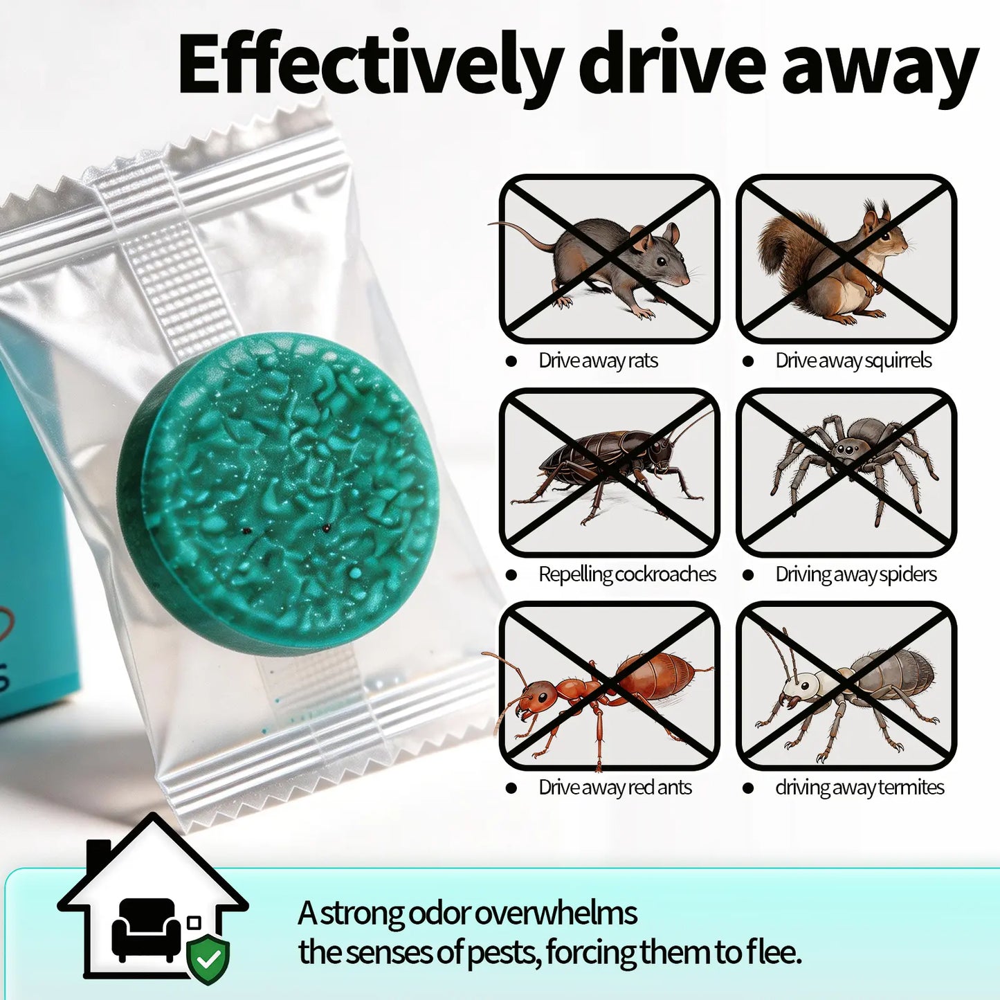 Stop Mice Before They Invade Your Home