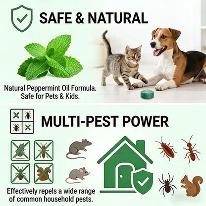 Stop Mice Before They Invade Your Home