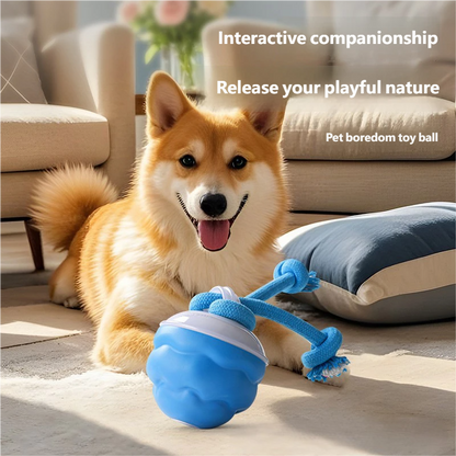 Pawzioo™ Smart Bouncing Dog Toy – No More Chewed Furniture🐶✨
