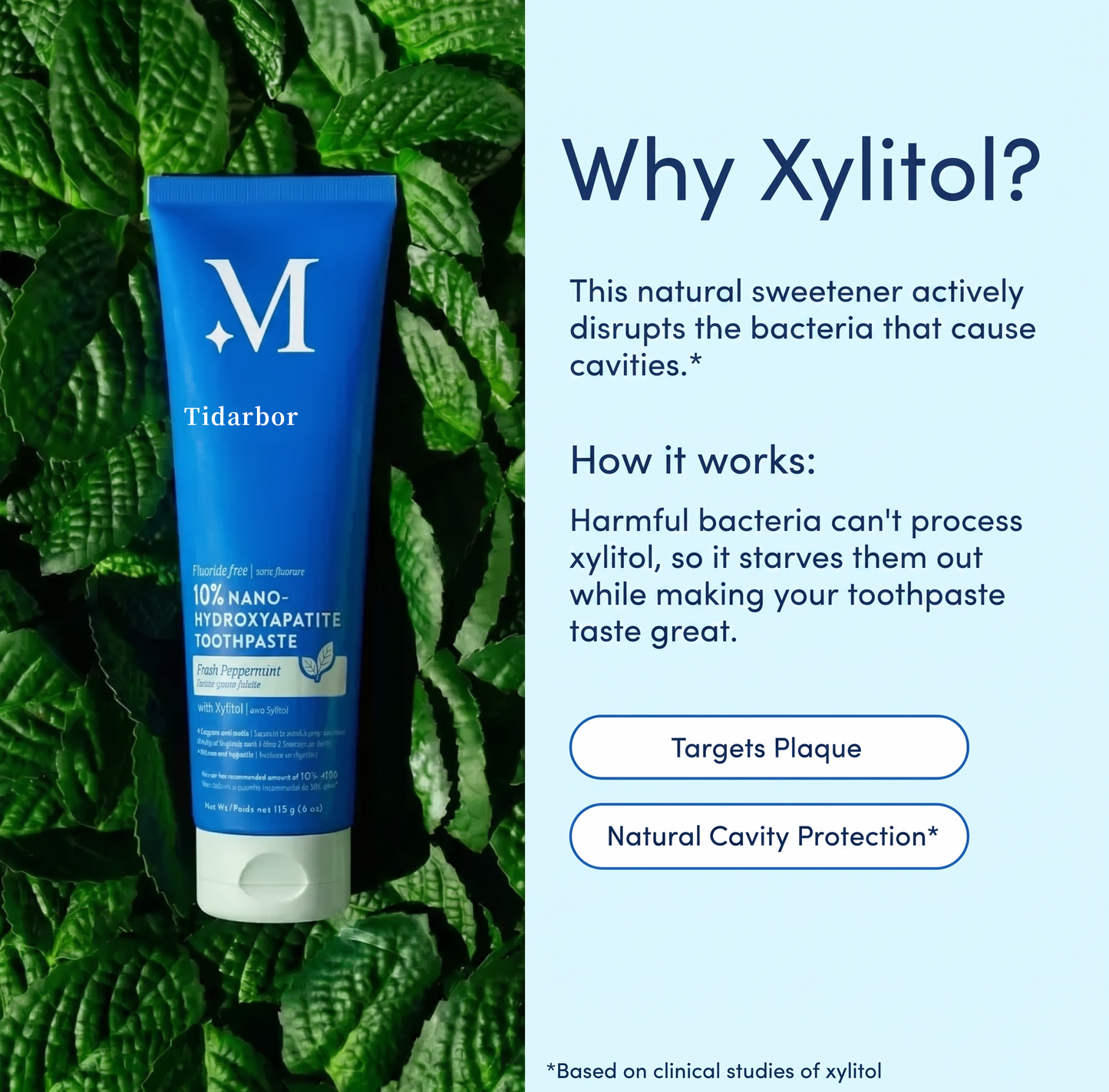 Strengthen Your Smile With Mineral-Based Dental Care