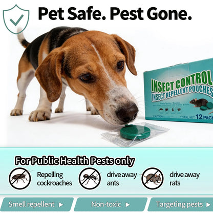 Stop Mice Before They Invade Your Home