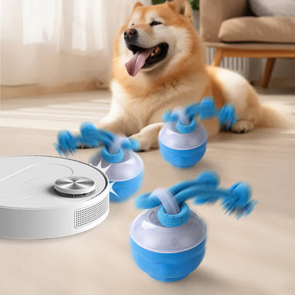 Pawzioo™ Smart Bouncing Dog Toy – No More Chewed Furniture🐶✨