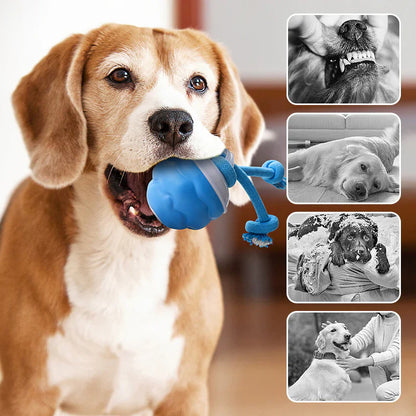 Pawzioo™ Smart Bouncing Dog Toy – No More Chewed Furniture🐶✨